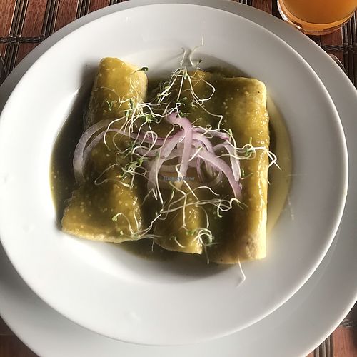 Vegan enchiladas  at Naino in Valladolid