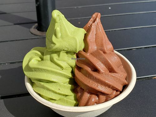 Green tea and chocolate small at Yoga-urt in Los Angeles
