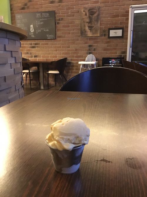 House-made vegan ice cream at Leonardo in Ceske Budejovice
