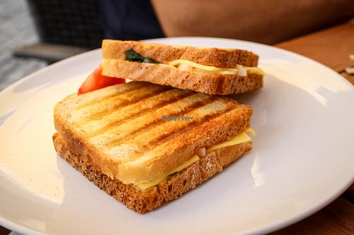 toasts at Leonardo in Ceske Budejovice