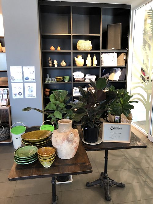 Shop at Wollemi in Canberra