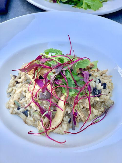 Mushroom risotto  at Don Vegan in Quebec
