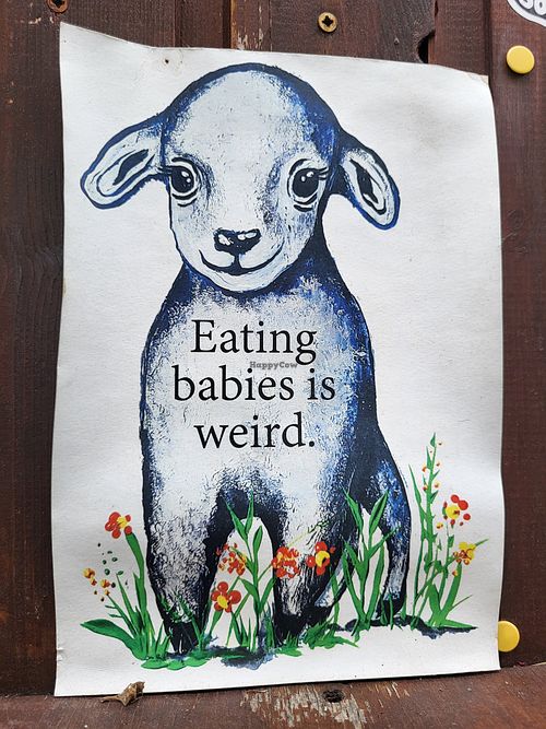 Yeah at Pernera in Patmos