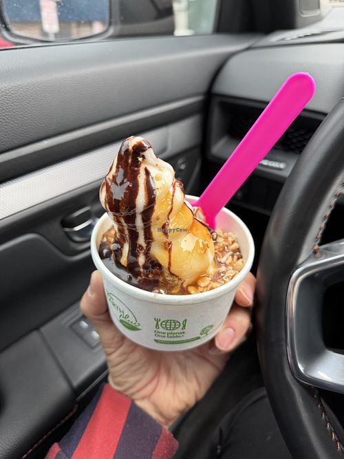 Samoa  at Frozen Gold in Colorado Springs