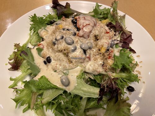 Stuffed avocado salad  at B-Line Diner in Orlando