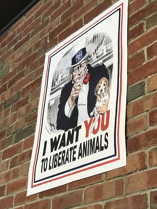 Insidr at Saigon Vegan in Garden Grove