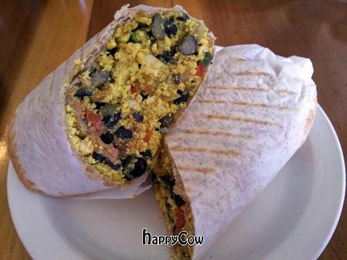 tofu scramble wrap (vegan) at s'Nice in Brooklyn