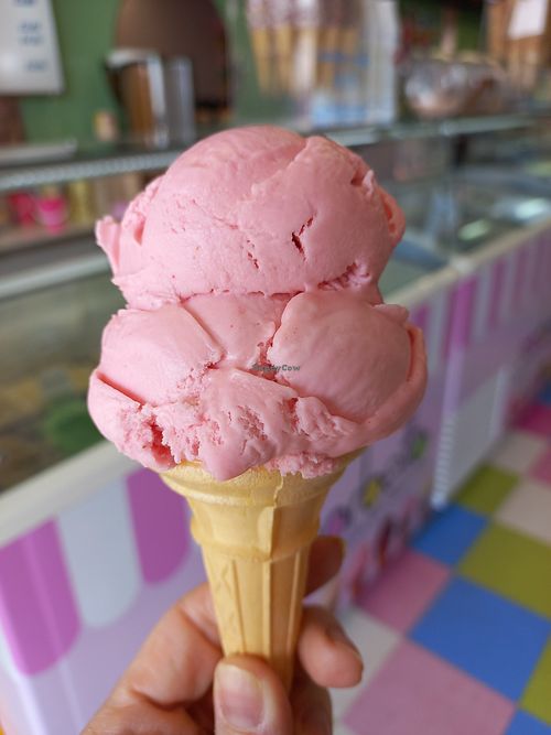 Strawberry sorbet ice cream on a vegan cone at Sorbetto in Ramsgate
