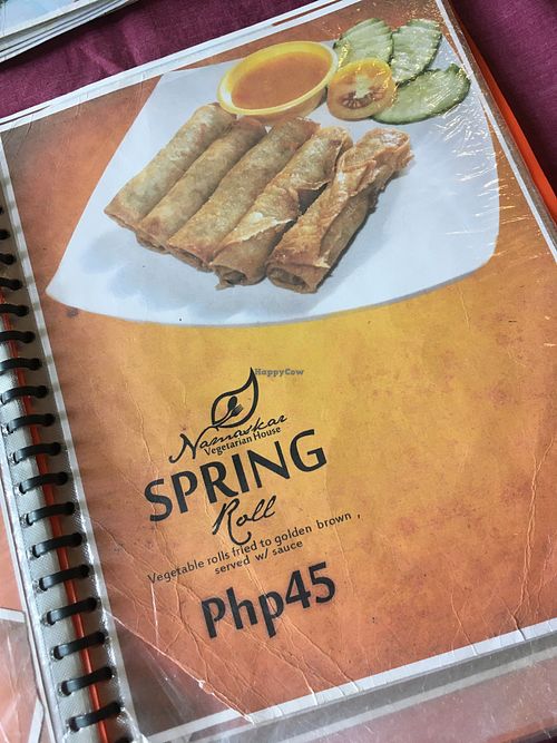 spring rolls at Namaskar Vegetarian Restaurant in Puerto Princesa