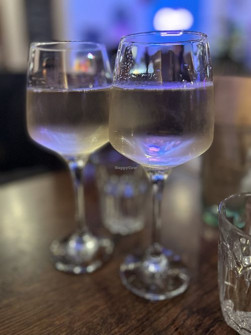 Pinot   at Cosmic Kitchen in Plymouth