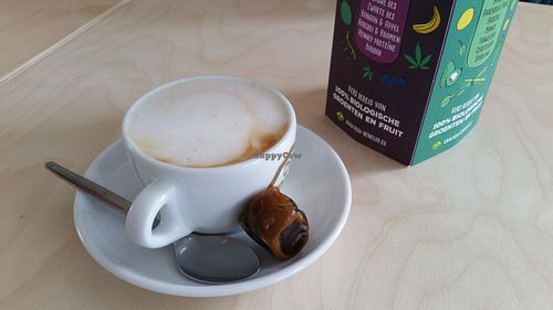 Cappuccino with oat milk and a fresh date. at Klein Geluk Ontbijt in Heemskerk