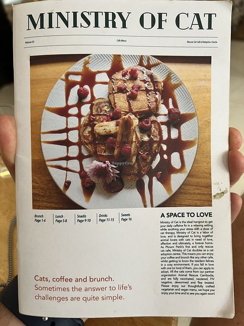   at Ministry of Cat in Phnom Penh