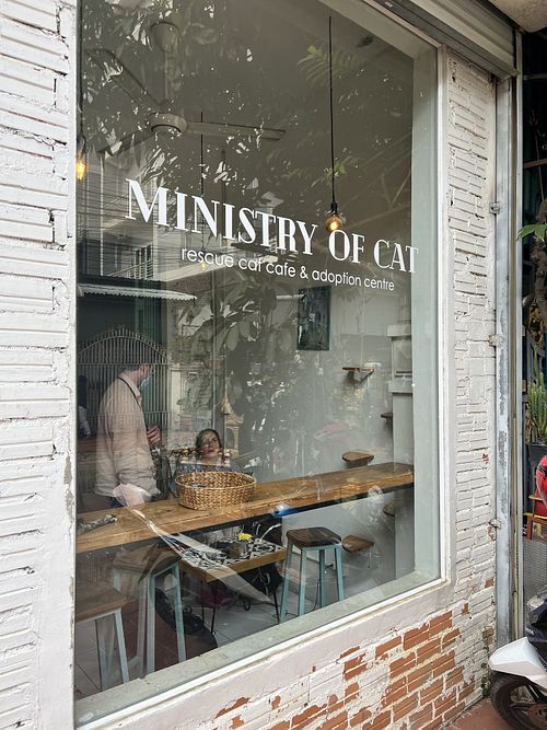   at Ministry of Cat in Phnom Penh