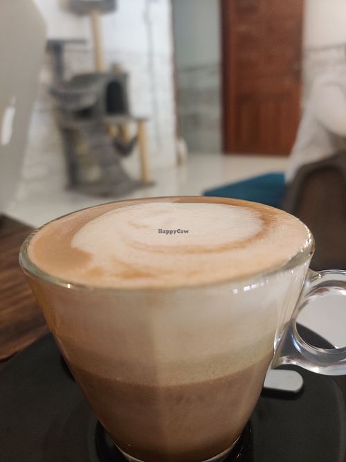 Decent soy latte at Ministry of Cat in Phnom Penh