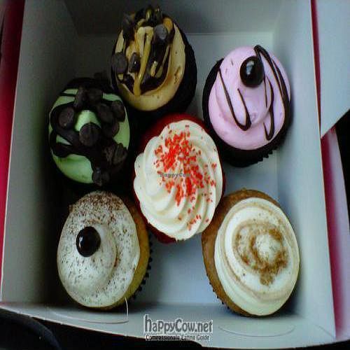 Top 3: Mint Chocolate, Peanut Butter Chip, Raspberry Swirl. Bottom 3: Tiramisu, Sexy Sadie, Cinnamon Sticky Bun' at Sweet Avenue Bake Shop in Rutherford