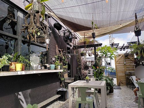 garden area at Oakland Coffee & Juice Bar in Oakland Park