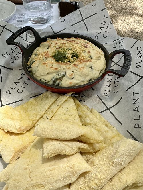 spinach artichoke dip  at Plant City in Providence