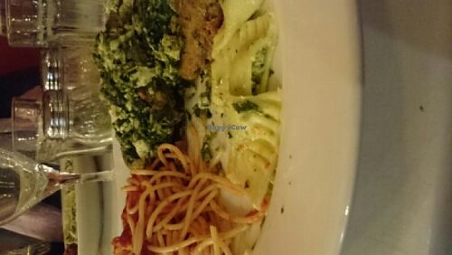 Eggplant parm. at Bacio Italian Restaurante in Erdenheim