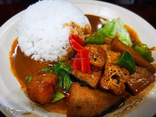 Vg curry Fish Rice  at Zheng Teck Vegetarian Food in Tawau