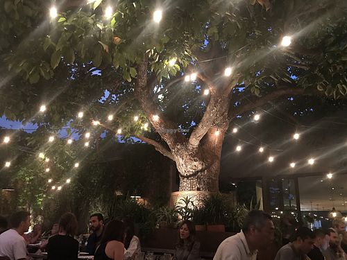 Giving Tree at Nic's on Beverly in Los Angeles