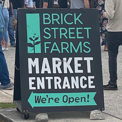 Arrow at Nah Dogs in St Petersburg