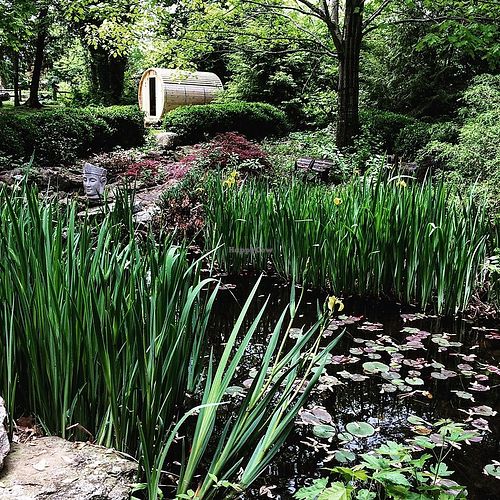 Old Caledonian - from its facebook at Old Caledonian Bed & Breakfast in Caledonia