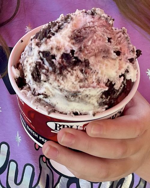 Small vegan cookies and cream   at Bruster's Real Ice Cream in Glendale