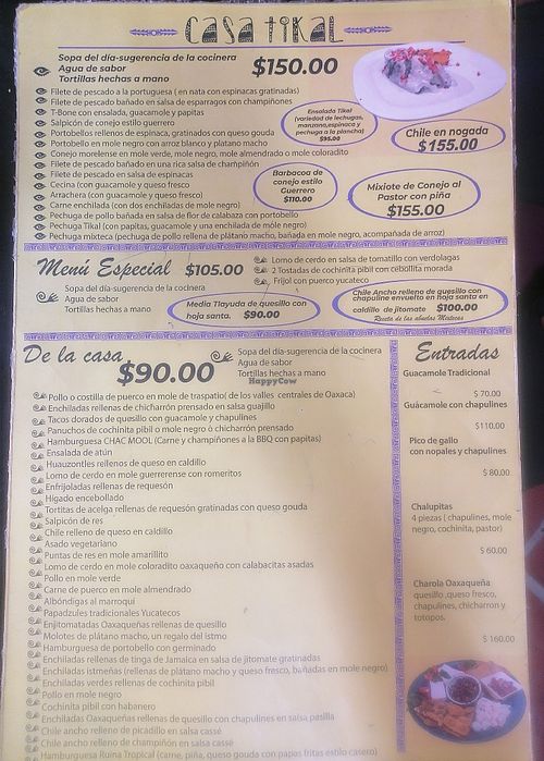 Económico at Casa Tikal in Cuernavaca