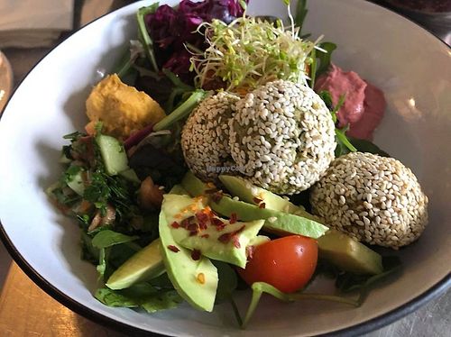 Option Ve at Option Ve in Harrogate