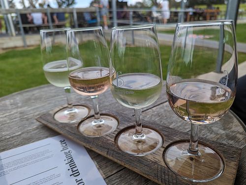 White wine taster at Four Winds Vineyard in Murrumbateman