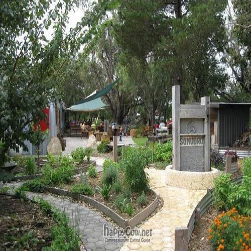 Samudra - part of vegetable garden at Samudra Cafe in Dunsborough