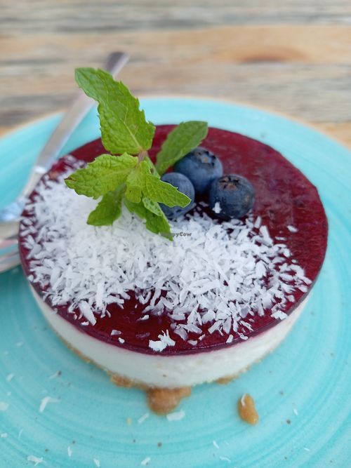 Blueberry Cheesecake at Donna Vegana in Mallorca