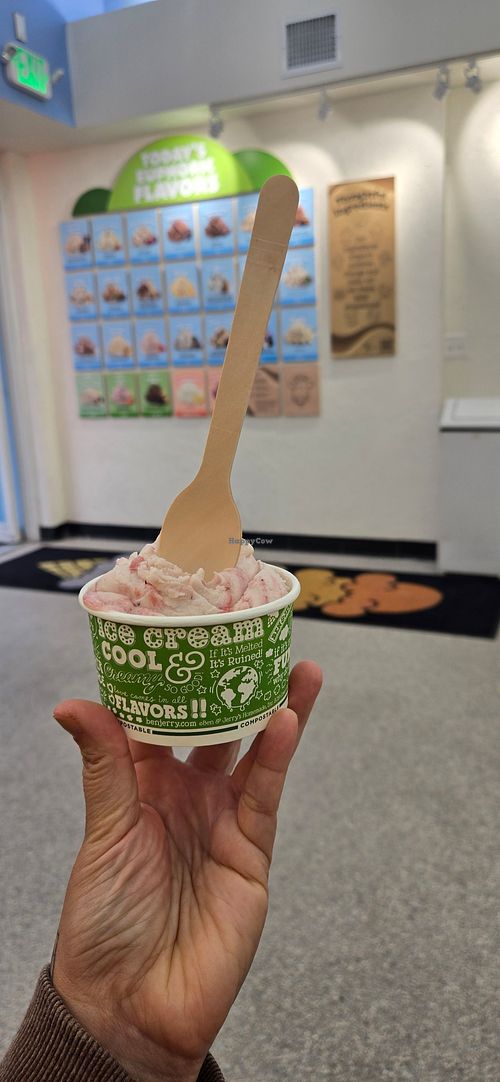 Strawberry Swirl at Ben & Jerry's in Sarasota