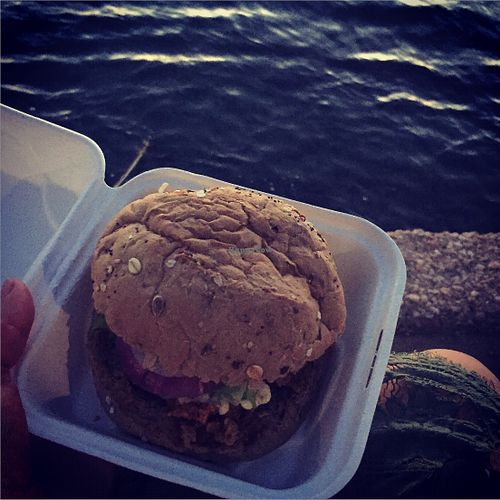 Vegan burger with a view at Burger Bar - Food Truck in Kralendijk