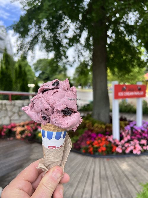   at Sadie's Ice Cream in Mackinac Island