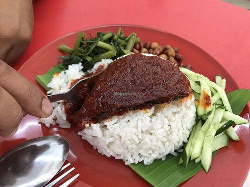 Delicious Nasi Lemak with vegetarian fish sambal at DK Kirtana Pure Vegetarian - Food Stall in Malacca