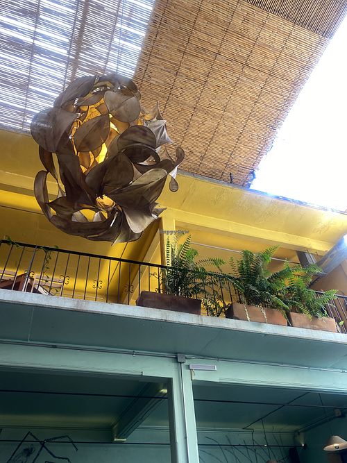 Cute Vibe - Muy Hipster  at Boulenc in Oaxaca