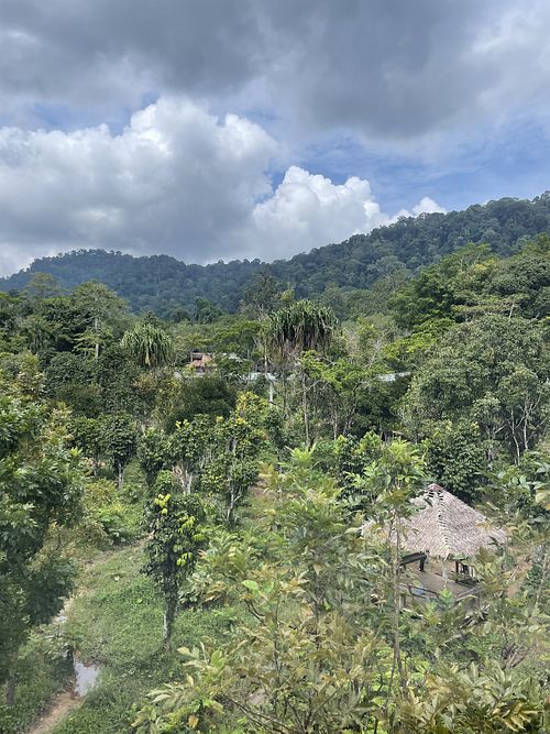   at Phuket Elephant Sanctuary in Phuket