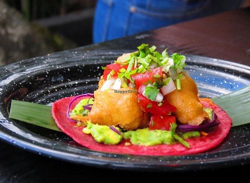 Image of Barbanegra Bacalar