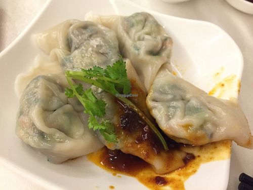 Sichuan Spicy dumplings at M Garden Vegetarian 常悅素食 in Kowloon