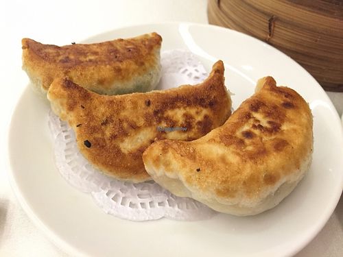 Pan-fried dumplings at M Garden Vegetarian 常悅素食 in Kowloon