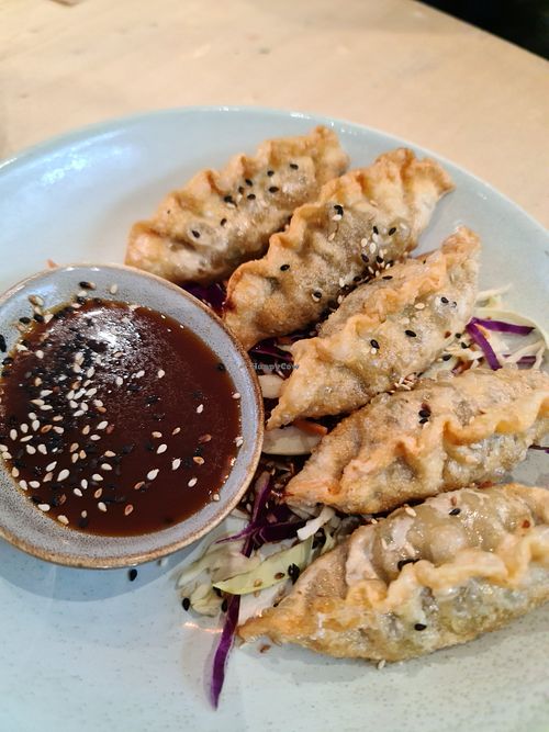Dumplings at Home Vegan Bar in Docklands
