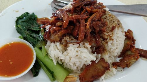 Char Siew rice at Kang Su 康素 - Sims Dr in Central Singapore