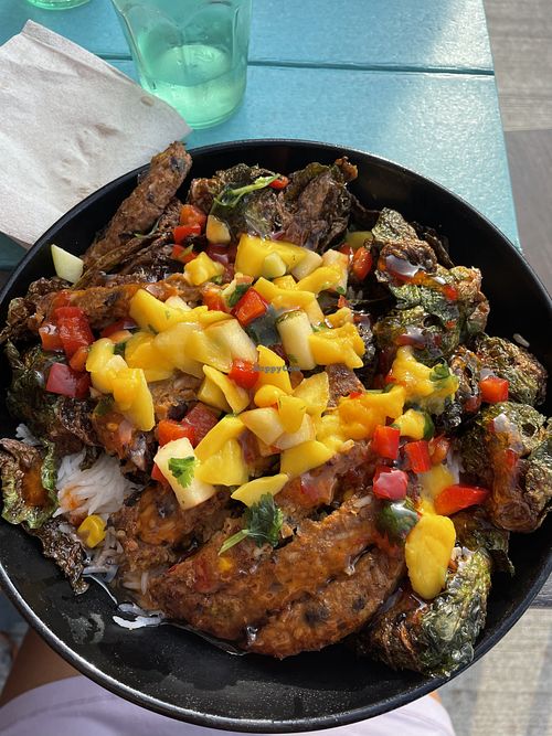 Mango rice bowl and black bean burger substitute  at Pedal Pushers Cafe in Lanesboro