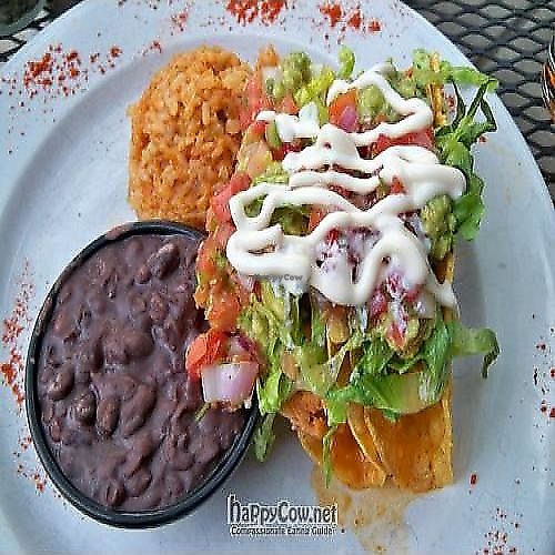 Jackfruit Tacos at Tasty Harmony in Fort Collins