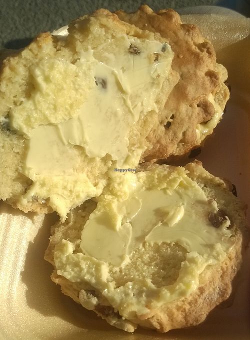 Fruit scone at Trinity Bakehouse in Wakefield