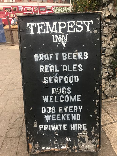 They're also dog-friendly and have regular music. at Tempest Inn in Brighton