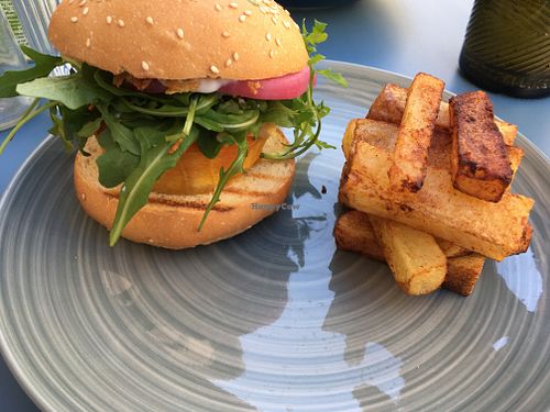 Burger with squash, aragula, pickeled onions. Side of fries at Monkey Mood in Bordeaux
