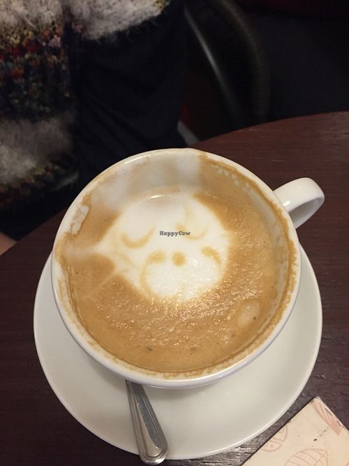Cat Café Kociarnia Krakow Coffee & Tea HappyCow