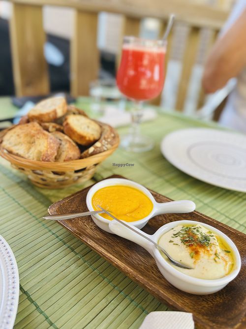 Starter  at Ca la Nuri in Vic